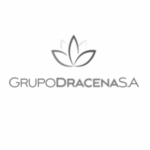 Dracena
